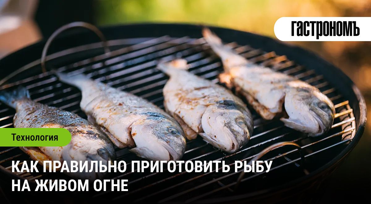 ����������� ������ ������������: ������� ���������� �����