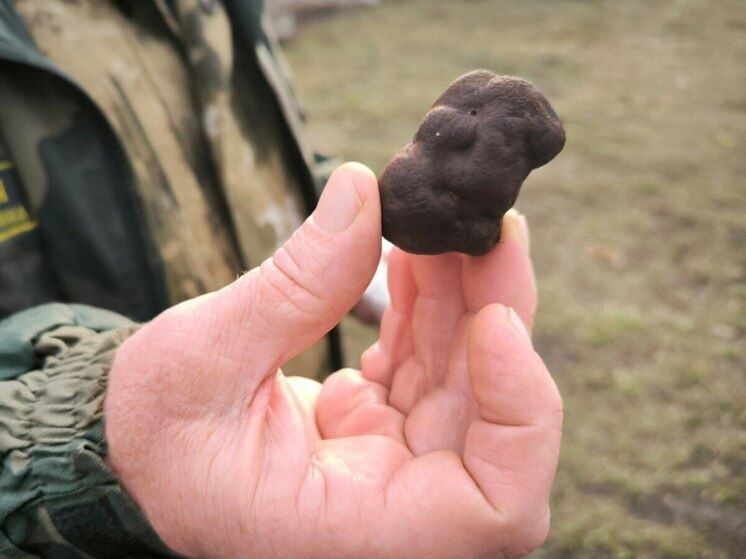 � ���������� ������ ����� ����� ������� ������� � ����