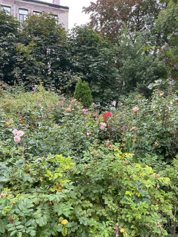 ����� ����: ������ ���� � ���������� �����������