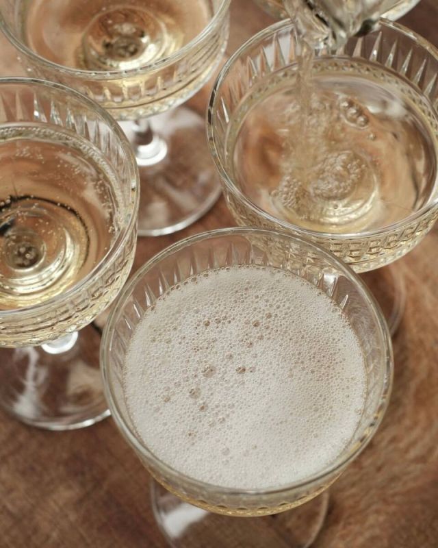 ��������� � ������ ������: ��� �������� Novikov Group ������ ���������� ������