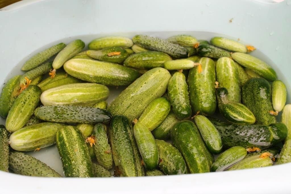 ��� �������� ��������� ������������ �������: ������� � ������