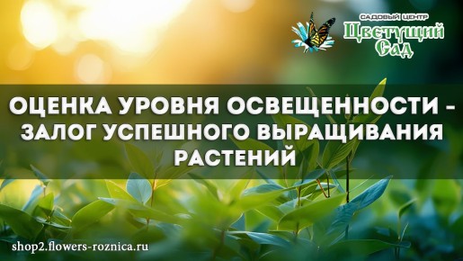 ��� ��������� ������ �� ���: ������� ������� ������ ����� ��� ��������