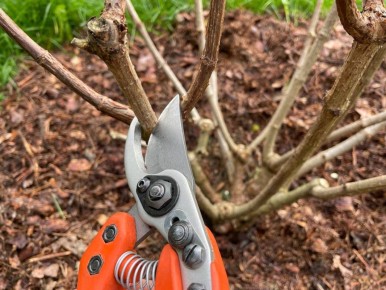 ������� � �������� ���� �� �����������: ���������� ������ ��� ���������� ������