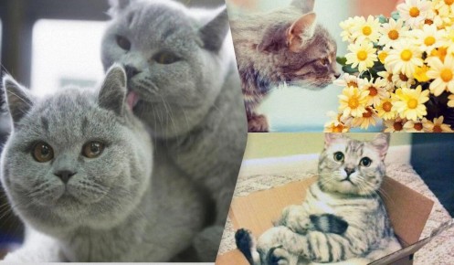 ����� ���������: ���-10 ����� ��������������� ����� �����