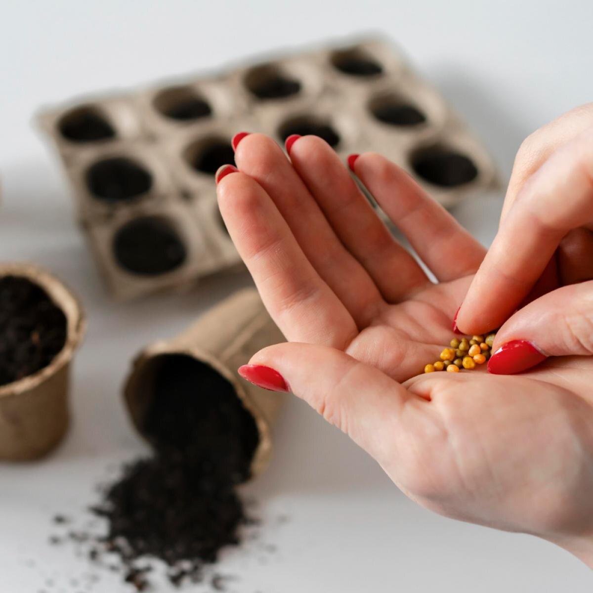 Как сохранить всхожесть семян на долгое время: советы садовода