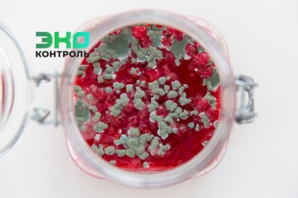 На плесень в варенье: что делать и как избежать неприятностей на кухне