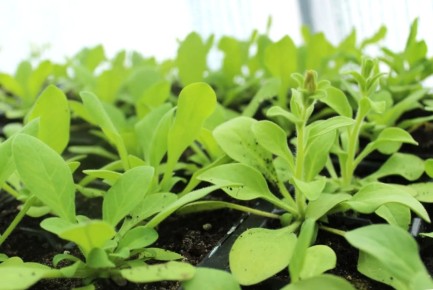 ������� � ���� �������� ��������� �����!