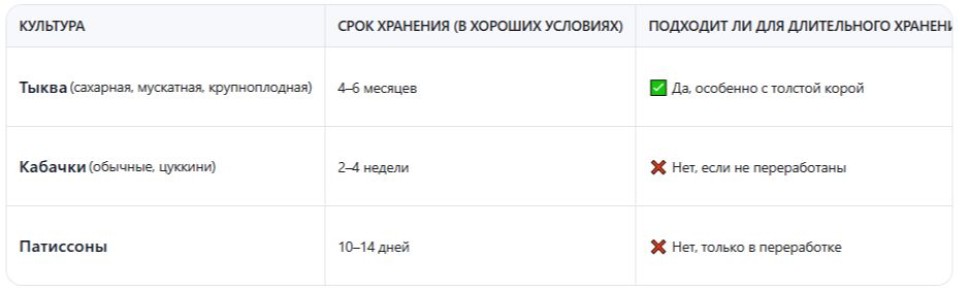 Секреты хранения тыквы, кабачков и патиссонов без погреба