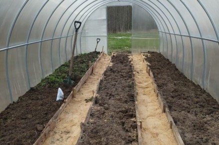 ������ � �������: ����������� ��������� ����� �� ���������� � ��������