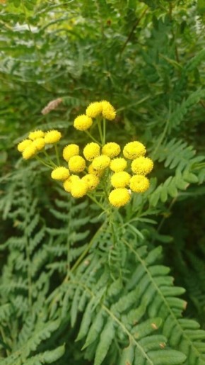 �����: ������� ������������� ��������, ������� �������� � ���� � �� �����