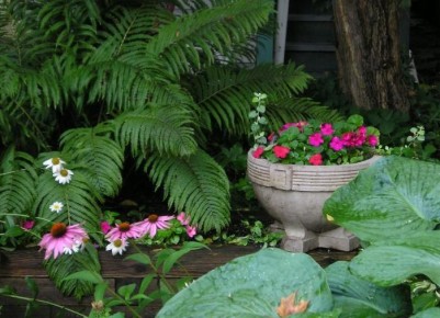 ��� ������ ��������� ����������� ������ �� ��������