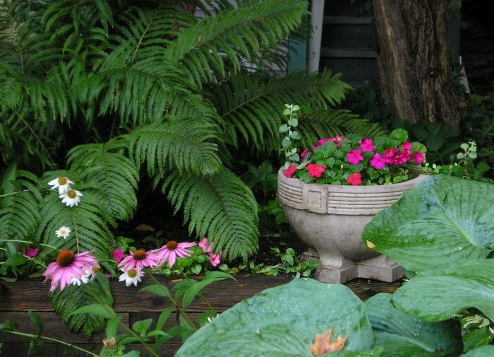 Как резкие колебания температуры влияют на растения