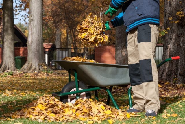 Октябрь для садоводов: чего избегать, чтобы не потерять урожай