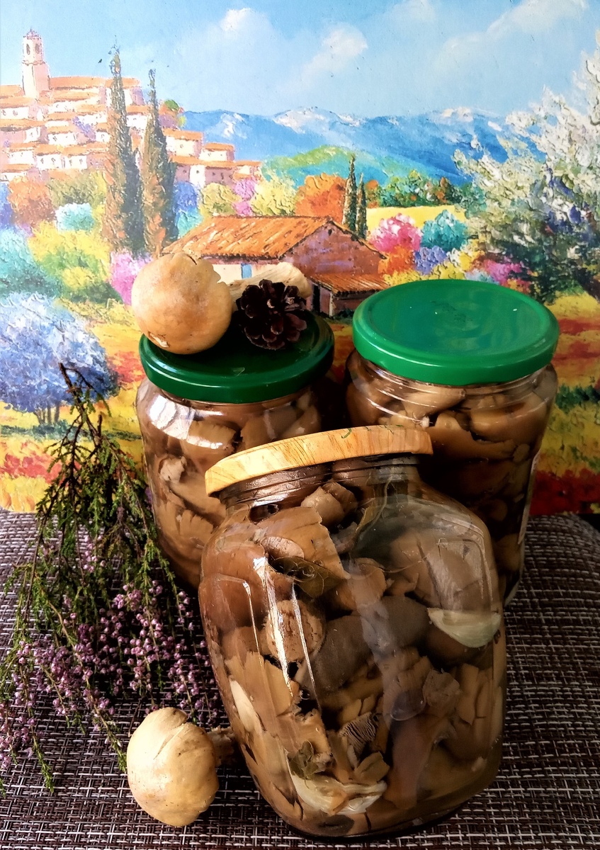 Маринованные грибы: простой и вкусный способ без стерилизации