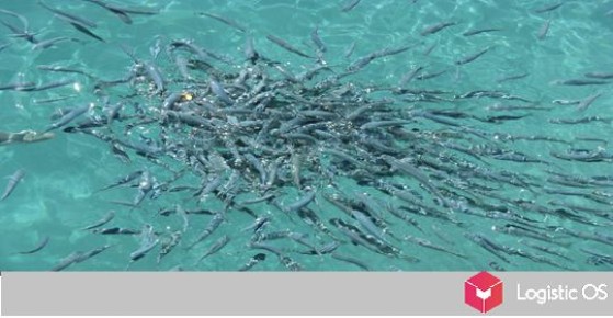 Россия готова увеличить объемы производства рыбы в условиях растущего спроса