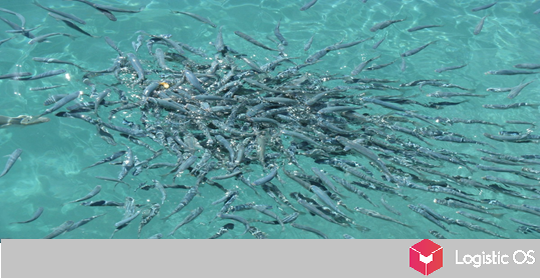 Россия готова увеличить объемы производства рыбы в условиях растущего спроса