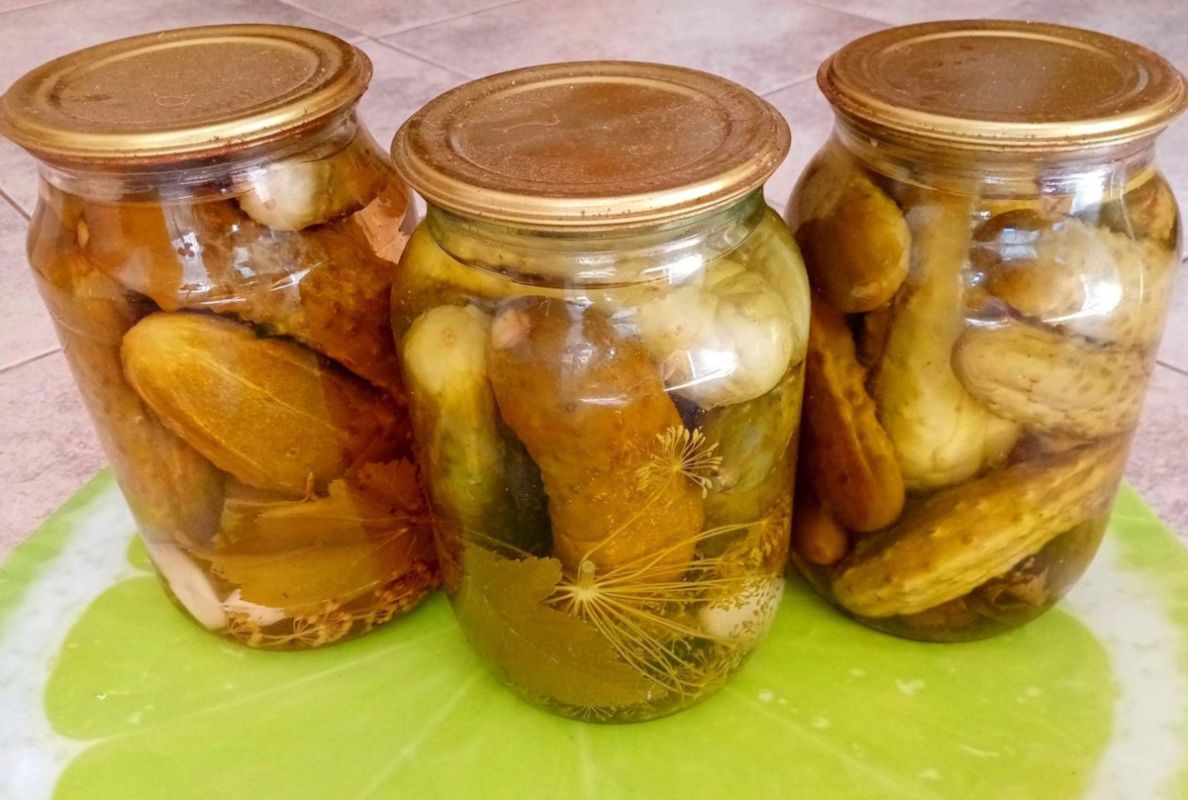 ������������ ������ ��-�������: ���������� �������-������ ������