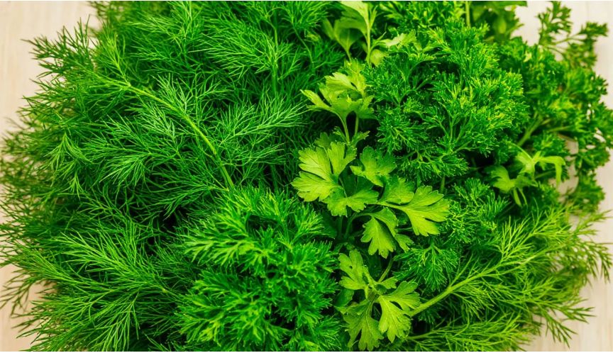 ��� ��������� ���������� ������ �� ����: 10 ����������� ��������