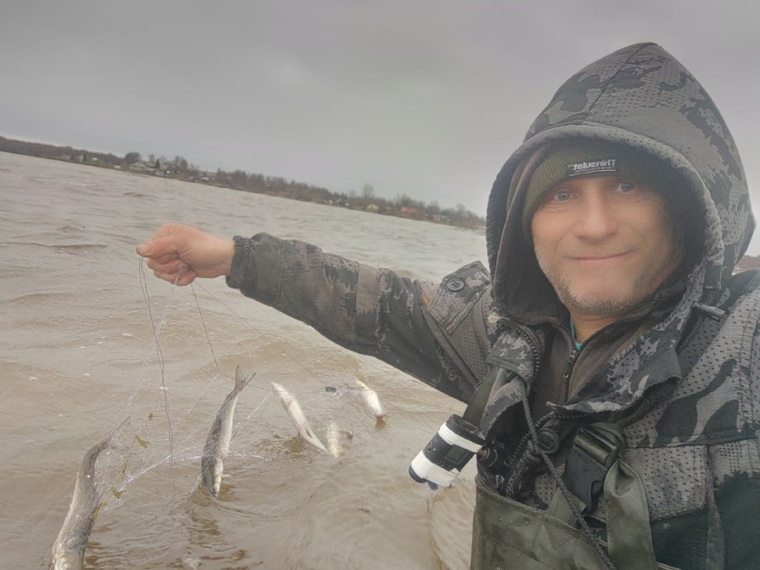 ��������� ����� ������ ����� �������