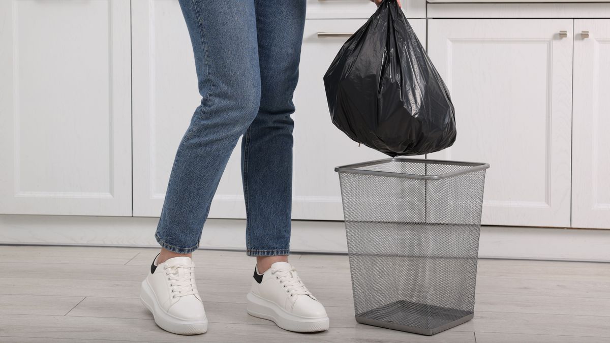 ���� �������� �������: 17 �����, ������� ����� ������ � �����