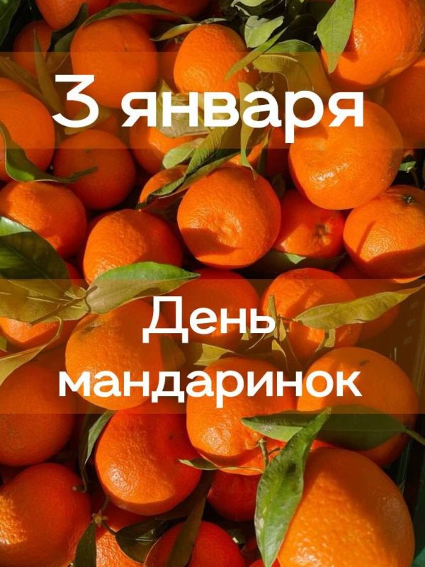 ����� ����������� ����: ������ ��������� ����� �������� ���������