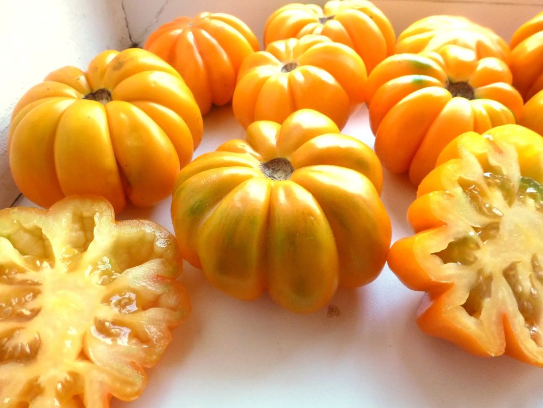 ��������� ����� �������, ������� ���������� �������� ��������