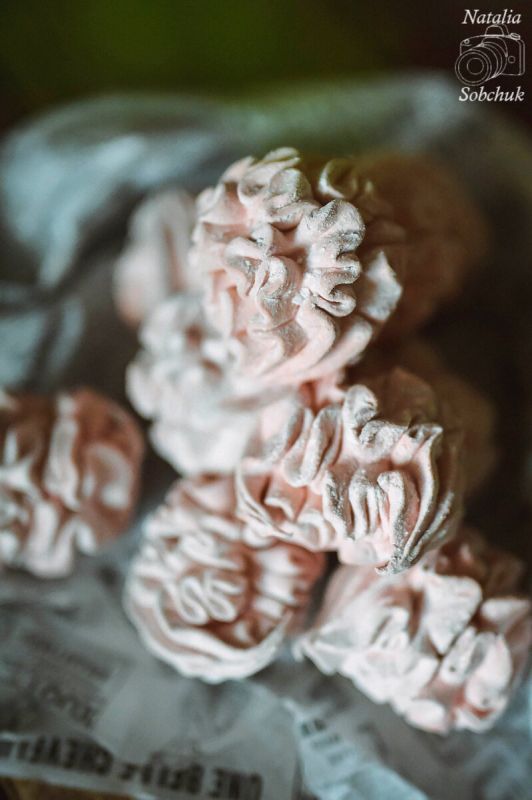 Создайте волшебство: сливовый зефир в домашних условиях