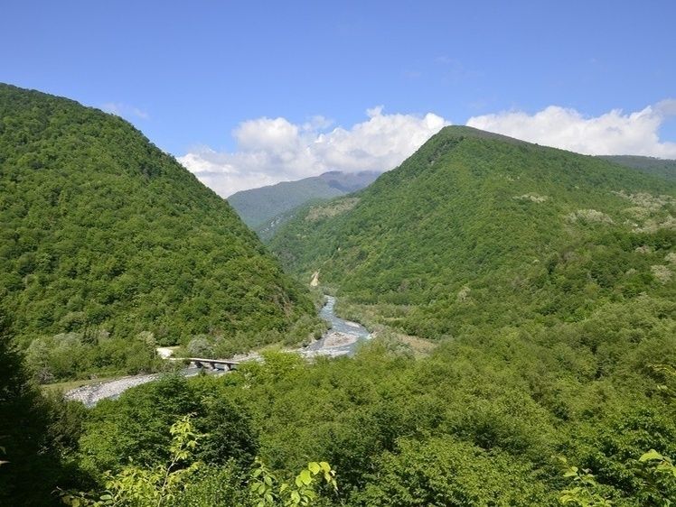 �� ����� �� ���������� �������