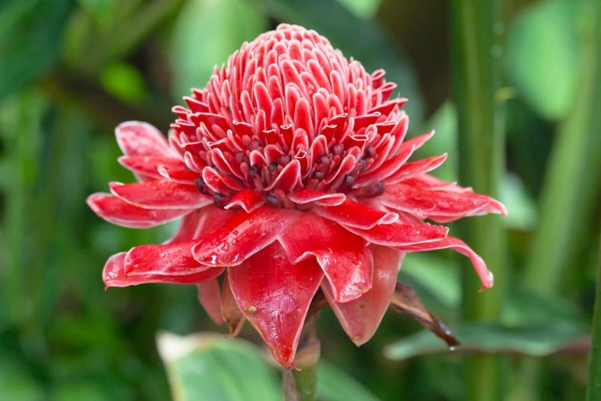 ������ ��� ������ ��������: ����� � �������