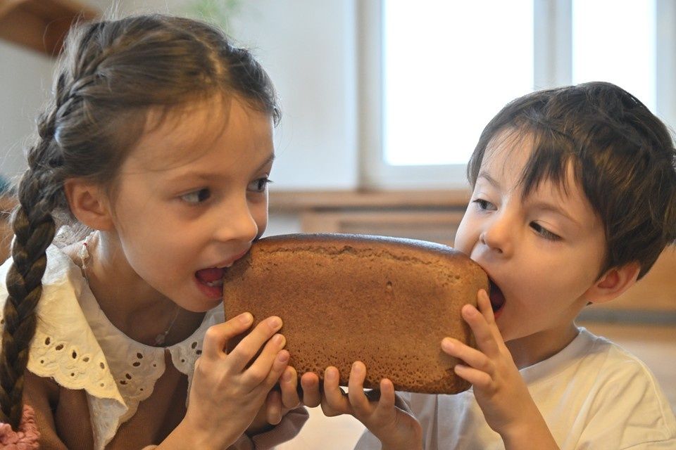 ���� �� ����� �����������: �������� ������������ ���������� ��������