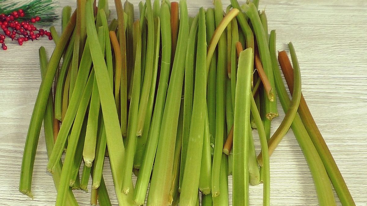 Как сохранить вкус ревеня на зиму: простые советы по заготовкам