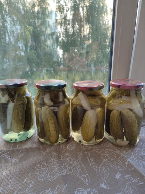 Как приготовить маринованные огурцы с луком в банке: советы для жаркой квартиры