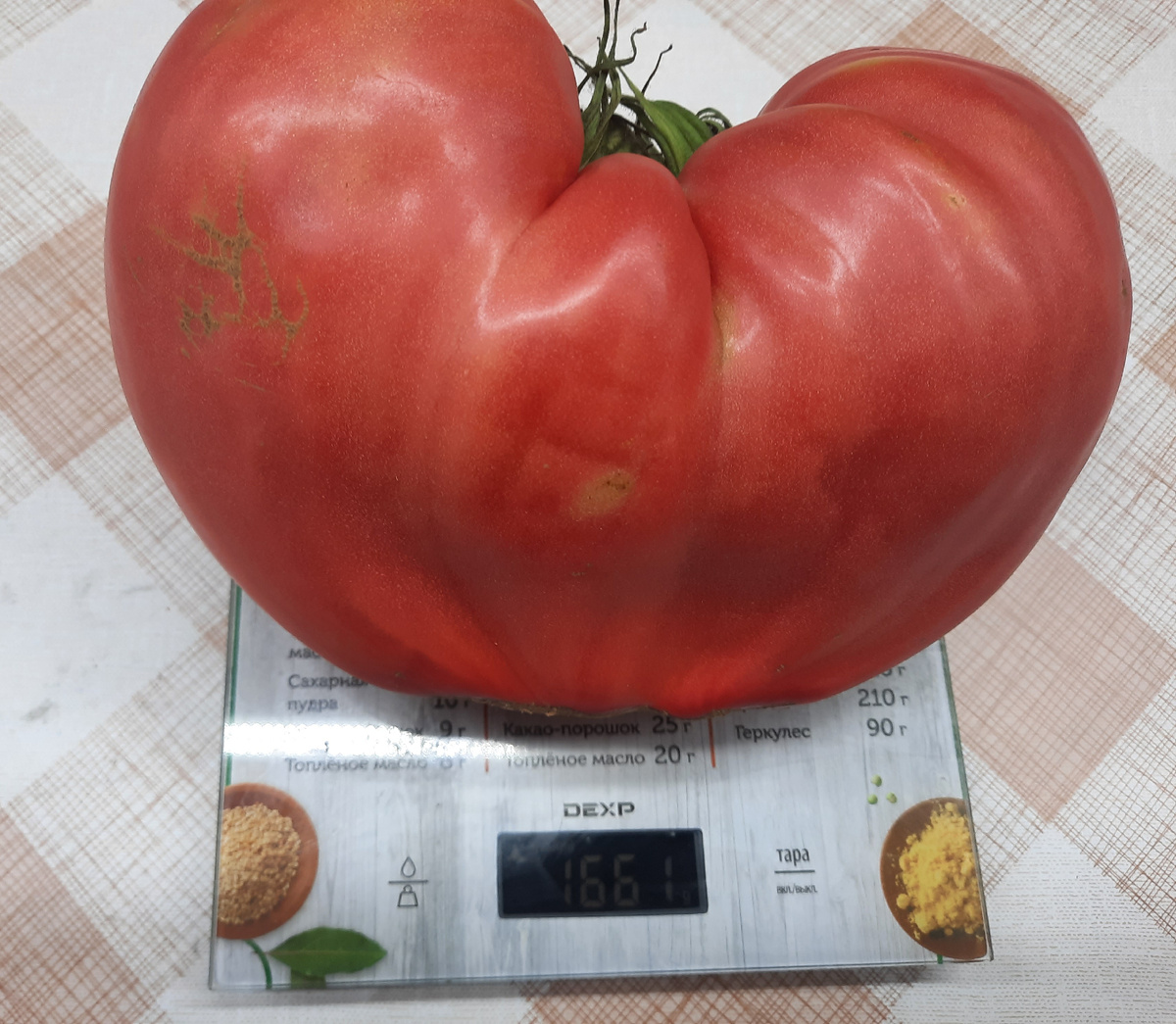 Как добиться высокого урожая крупных томатов: советы по подкормке