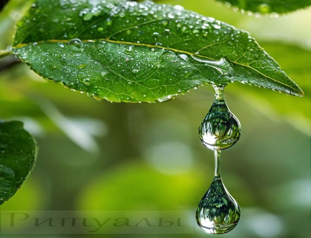 ��� ��������� ���� ����, ������� ��� �������� ���