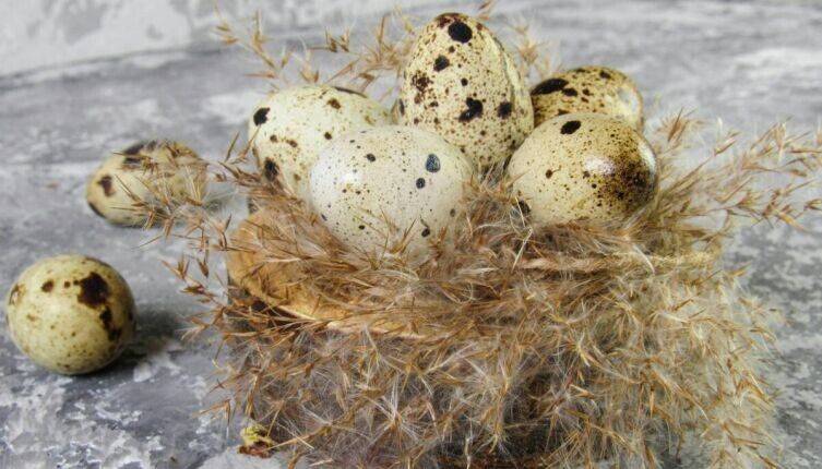 ������������ �������� ����������� ���: ��� ����� �����