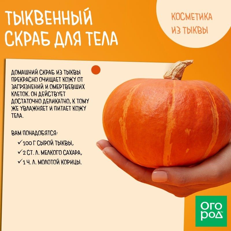 ������� ��������� ��������: ��� ������ ����� �������� ���� ����������