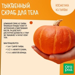 ������� ��������� ��������: ��� ������ ����� �������� ���� ����������