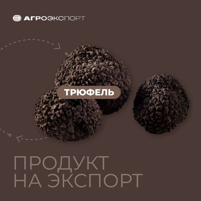 ������� � ������: �� ��������� �� ����������� �������