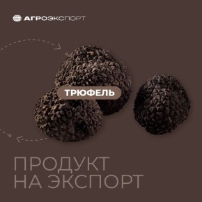 ������� � ������: �� ��������� �� ����������� �������