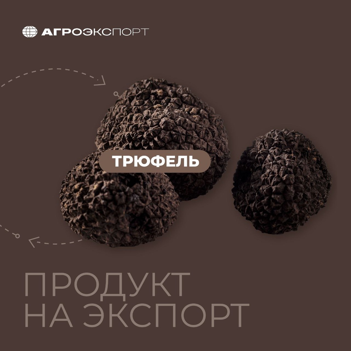 Трюфели в России: от диковинки до экспортного прорыва