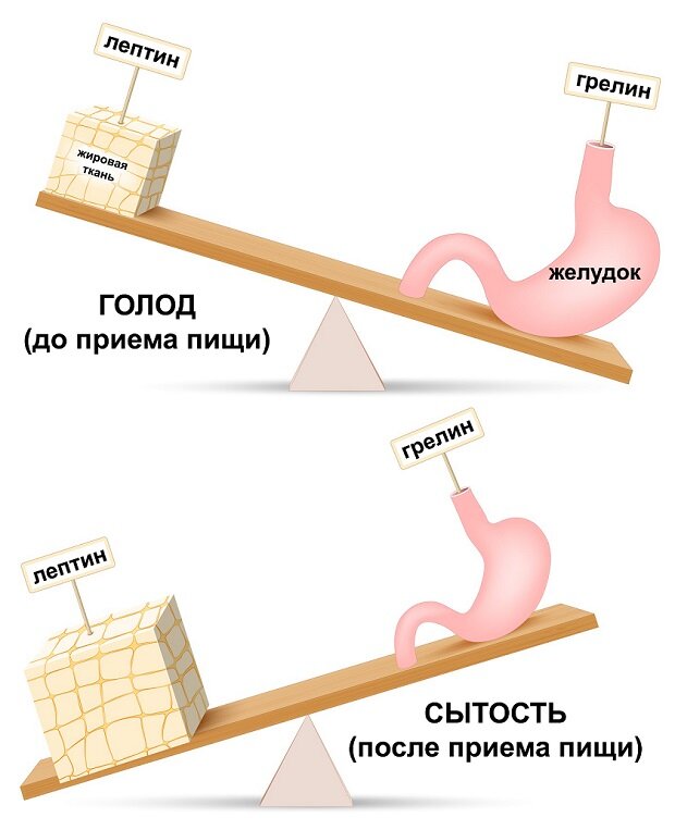 На пути к стройности: что мешает похудеть и как это преодолеть