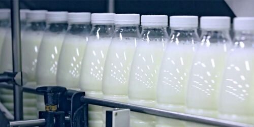 Опасности модифицированных крахмалов: предупреждение от Союзмолока