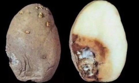 ������� ������������� ����� ����� ���������