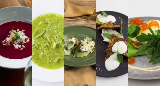 ������� � ���������: 13 ������������ �������� �� ��� ������ �����