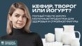 Кефир, творог или йогурт? Полный гид по молочным продуктам для здоровья и стройной фигуры
