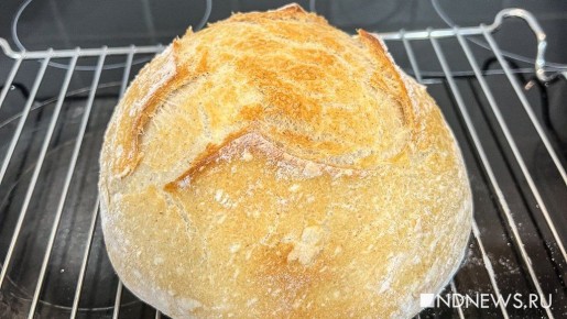 ��� ������ �������� ���� ����� �������� ��������