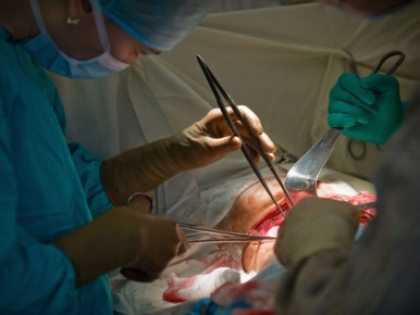 ������ �����: ����� ������� ��� ��������������