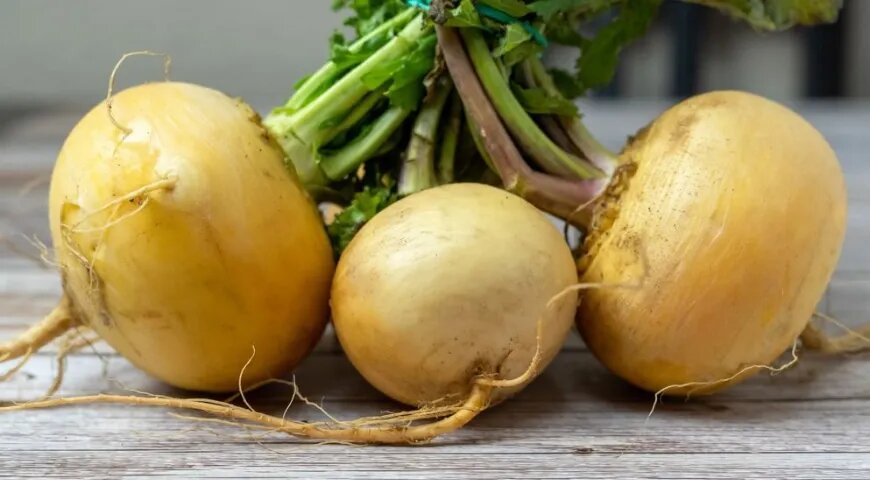 Репа: Древний Овощ с Современными Секретами Здоровья