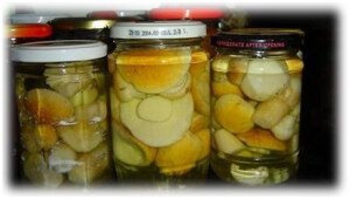 ��� ��������� ������� ������ �����: ������� � ������