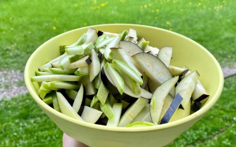 ������ ����: ������� �� ������ � ������ �������